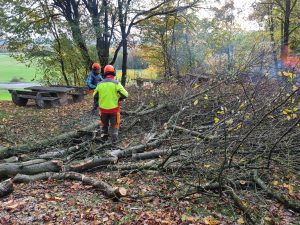 2025-10-25 – Herbst-Arbeitseinsatz Sängerslust (01)