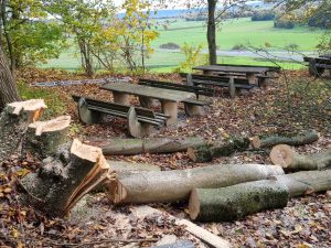 2025-10-25 – Herbst-Arbeitseinsatz Sängerslust (02)