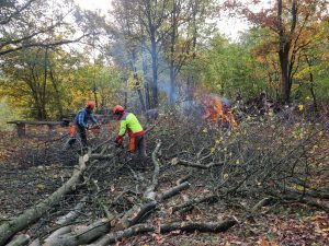 2025-10-25 – Herbst-Arbeitseinsatz Sängerslust (03)