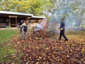 2025-10-25 – Herbst-Arbeitseinsatz Sängerslust (04)