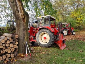 2025-10-25 – Herbst-Arbeitseinsatz Sängerslust (05)