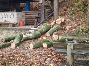 2025-10-25 – Herbst-Arbeitseinsatz Sängerslust (07)
