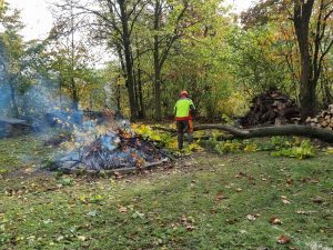 2025-10-25 - Herbst-Arbeitseinsatz Sängerslust (07a)