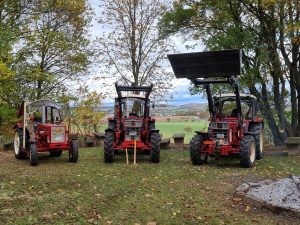 2025-10-25 – Herbst-Arbeitseinsatz Sängerslust (12)