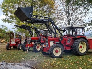 2025-10-25 – Herbst-Arbeitseinsatz Sängerslust (13)