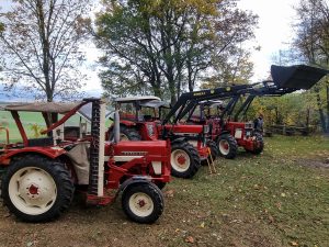 2025-10-25 – Herbst-Arbeitseinsatz Sängerslust (14)